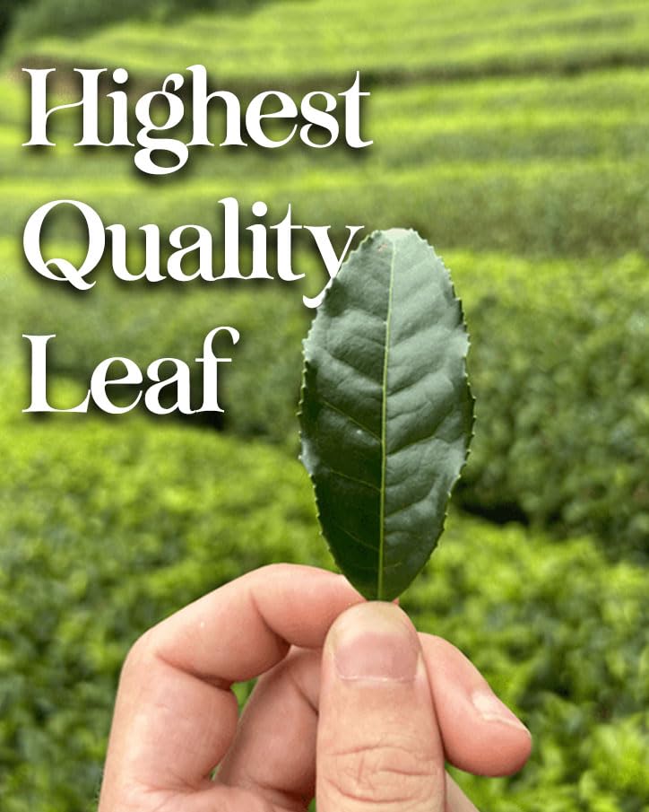 Miniatura 5 de One With Tea Té verde orgánico japonés Genmaicha Hoja suelta  Sencha de hoja entera premium con arroz integral tostado, orgánico USDA, sabor a nuez