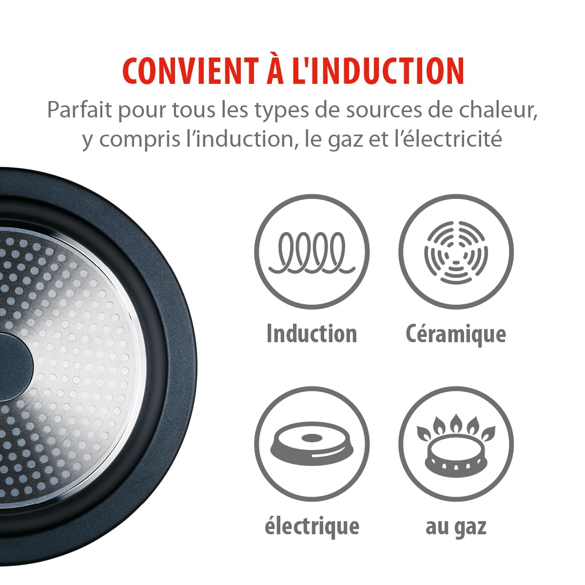alpina Tajine 2,5L - Couscoussier Induction avec Couvercle Céramique Ø30cm - Casserole Tout Feux - Idéal pour Tajines et Couscous - Élégant et Durable, Noir
