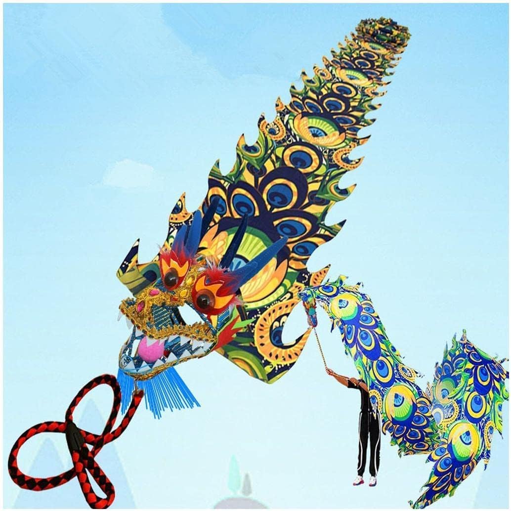 Drago Cinese per Feste Dragon Fitness Ribbon Dance Lion con Testa 3D Drago di Seta Cinese Capodanno Sport all'Aria Aperta Feste Cinesi in Italia(12m/39ft)