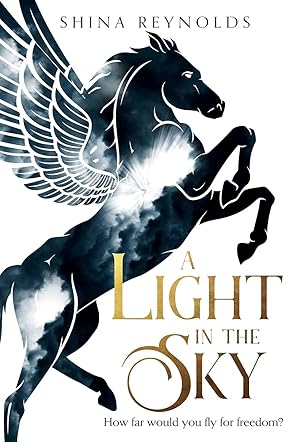 A Light in the Sky 
