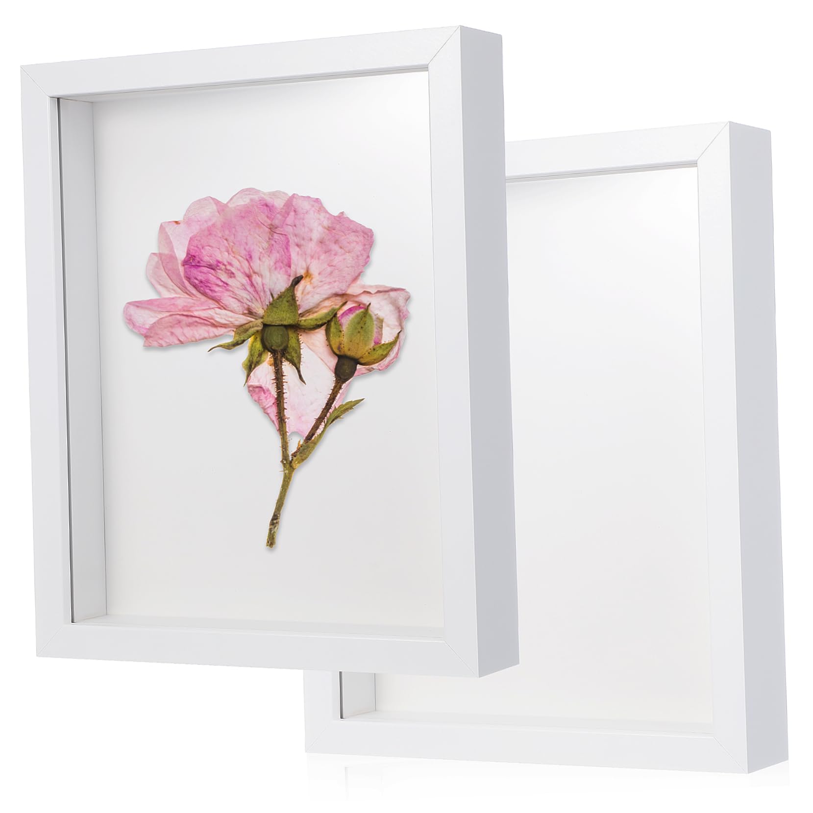Caja de sombra para flores secas que evita el polvo en recuerdos de bodas