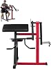 Happybuy Preacher Curl Machine, 2-in-1 Bicep Curl and Triceps Extension Machine, Seated Arm Isolated Bicep Station, Strength Training Workout Weight Bench, Exercise Equipment for Home Gym