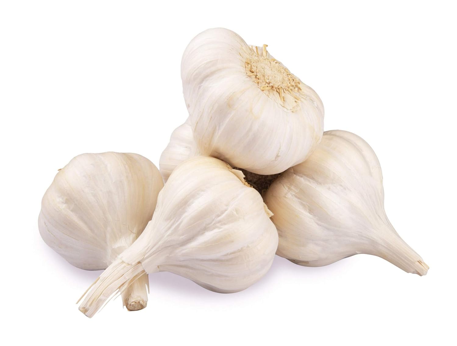 Fresh Garlic, 250g Amazon.in Grocery & Gourmet Foods