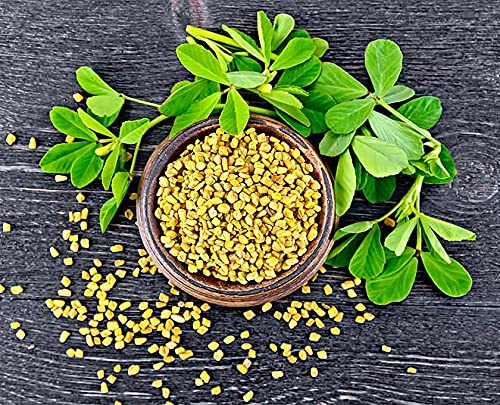 Desi Kitchen Fenugreek (Methi) Seeds Whole 8Lbs (127Oz) 3.62Kg Trigonella Foenum Graecum ~ Bulk Pack (Pet Jar) Use Multi-Use Cooking, Hair And Skin Health #TOP3
