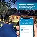 Lutron Outdoor Smart Plug for Caseta Smart Lighting, Summer Patio, Backyard Outdoor Lights & Motors, 15A LED Fixtures & 1/2 HP Motors, PD-15OUT-BL, Black