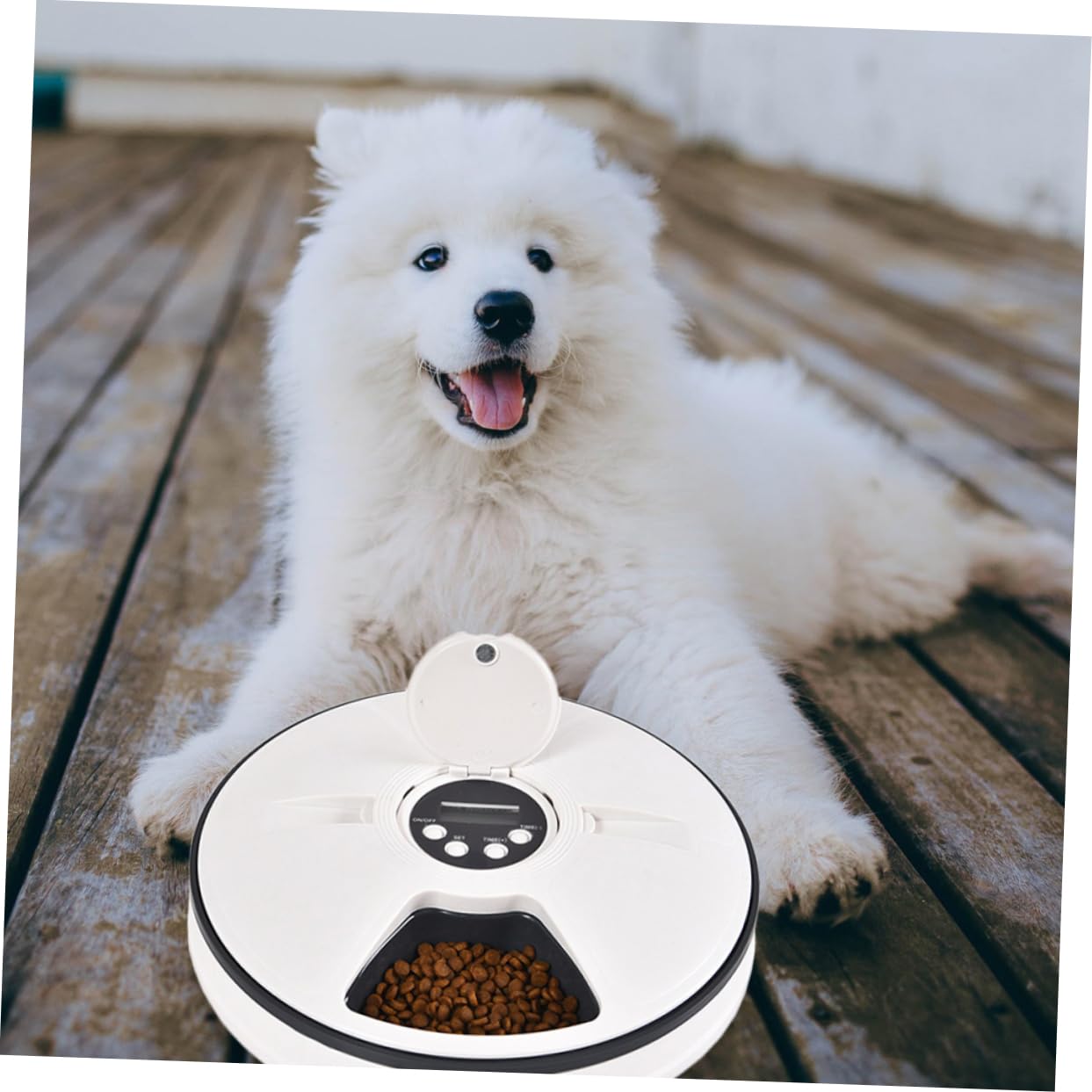 Comedero Automático Temporizado para Mascotas 6 Compartimentos | Capacidad 90g, Abs Negro, Diseño Desmontable Base Antideslizante, Fácil Limpieza y Colocación en Esquina