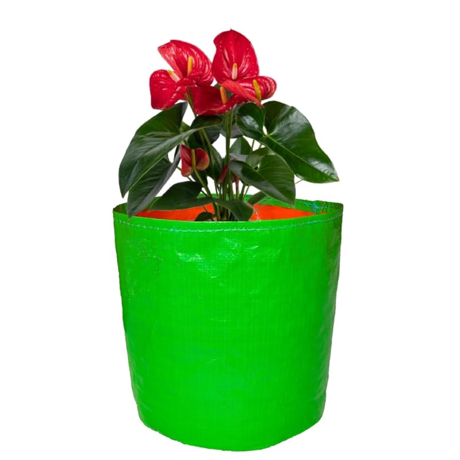 GroWonder Plant Grow Bags 12x15 inches, 230 GSM Strong, Terrace Gardening Vegetable Planting Pots, Woven Fabric Leafy Fruits Growing Containers, Pack of 1 (B09C3K26FR) Amazon Price History, Amazon Price Tracker