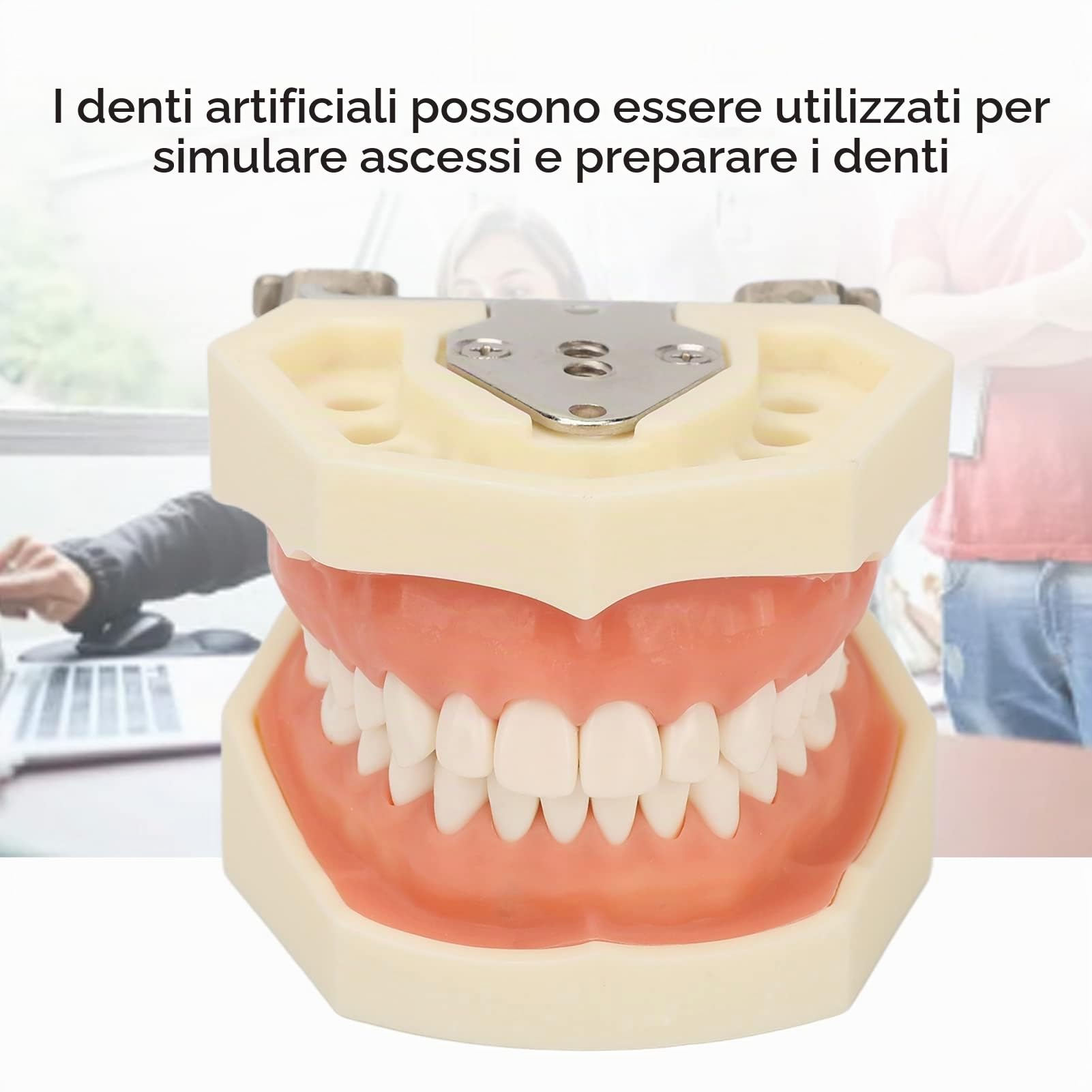 Modello di denti dentali, Modelli di Insegnamento Dentale | 28 pezzi di denti di ricambio per studi dentistici, studenti di odontoiatria per cisti gengiva morbida per praticare