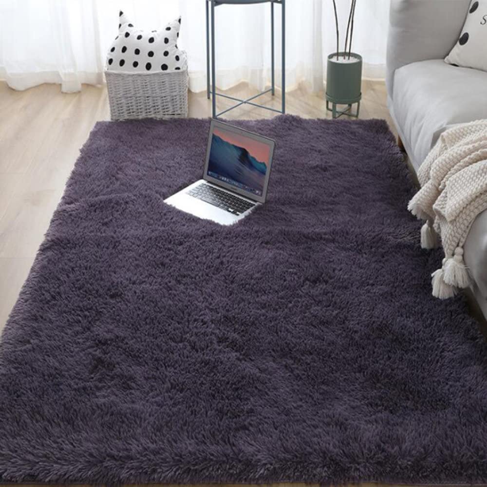 Tapis en peluche épais gris violet 100x160 cm pour salon et canapé