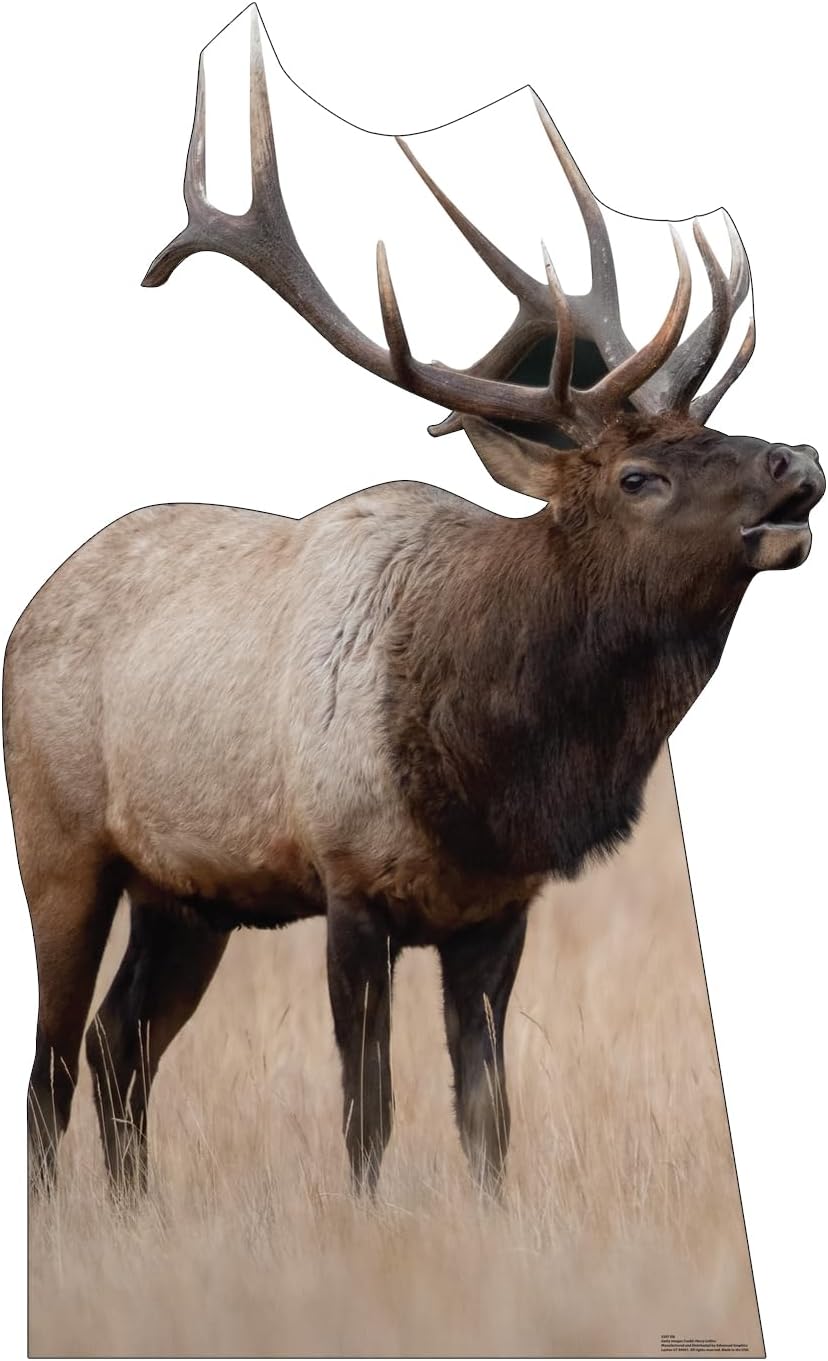 Cardboard People Jack Skellington Life Size Cardboard