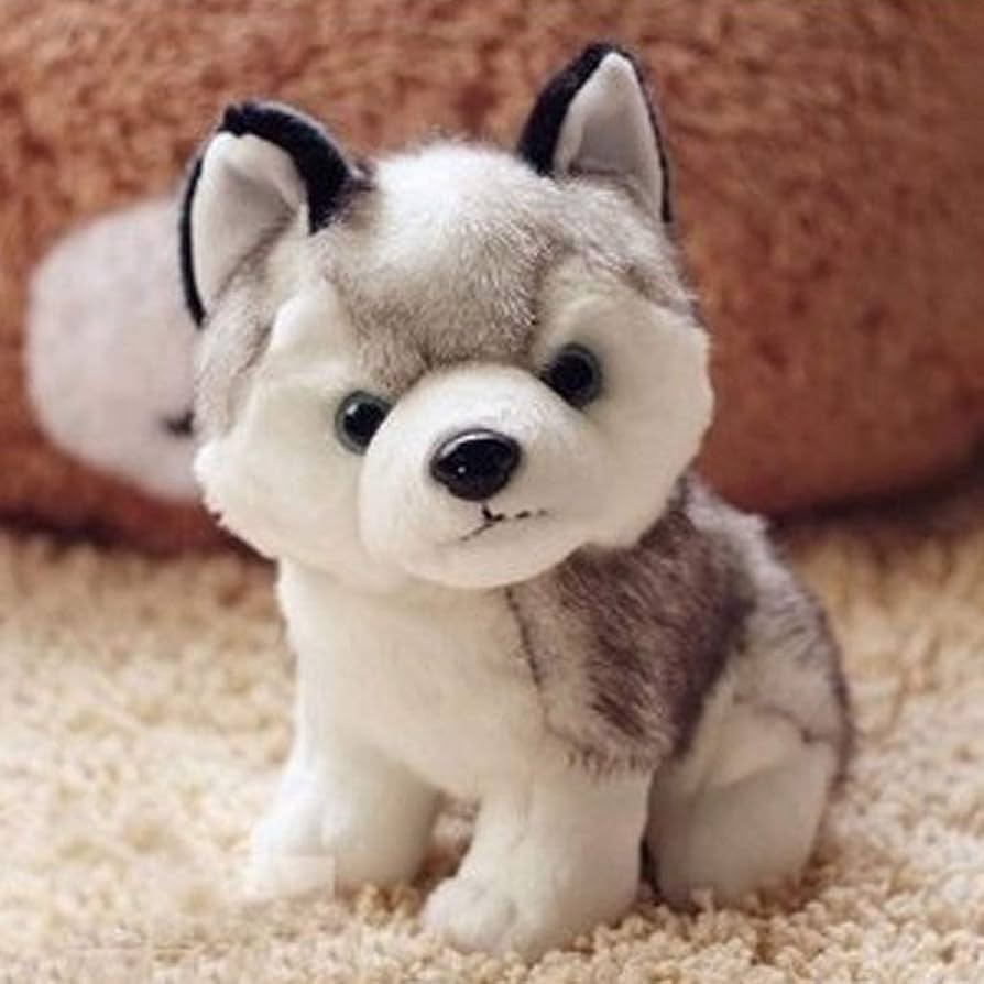 シベリアンハスキー　ぬいぐるみ シベリアンハスキー24N3SHぬいぐるみ | capeesh |重力に素直な