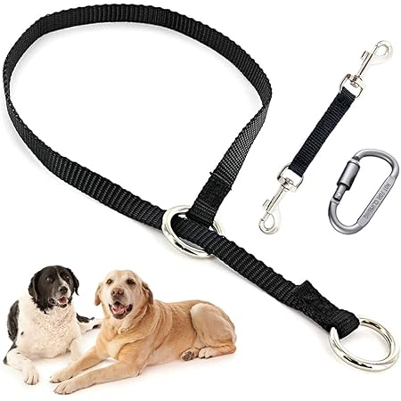 dominant dog collar amazon
