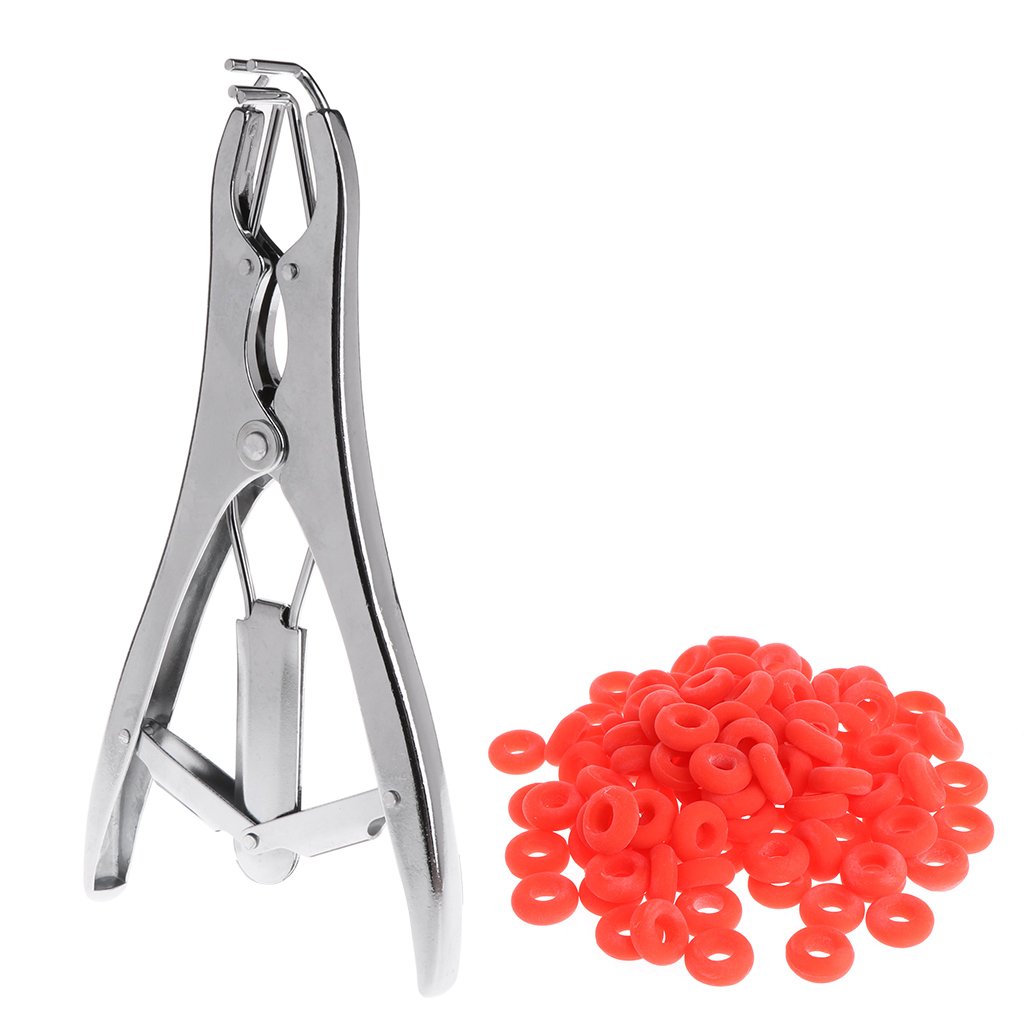 Pinza Per Castrazione Animale Senza Sangue | Acciaio, Per Bovini, Ovini E Maiali, Con Funzione Apri-Palloncini - Foto 5