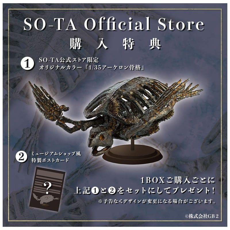 【特典付き】　アーケロン　骨格　1/35　フィギュア　亀　ウミガメ　カメ　ガチャ Amazon.co.jp: アーケロン 骨格 135 フィギュア 亀 ウミガメ カメ