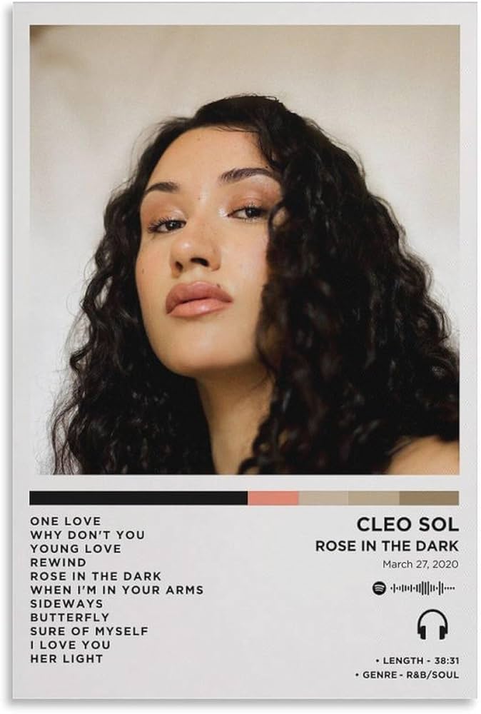 Cleo Sol / Rose In The Dark レコード LP Rose In The Dark - Cleo Sol Vinyl - Amazon.com Music