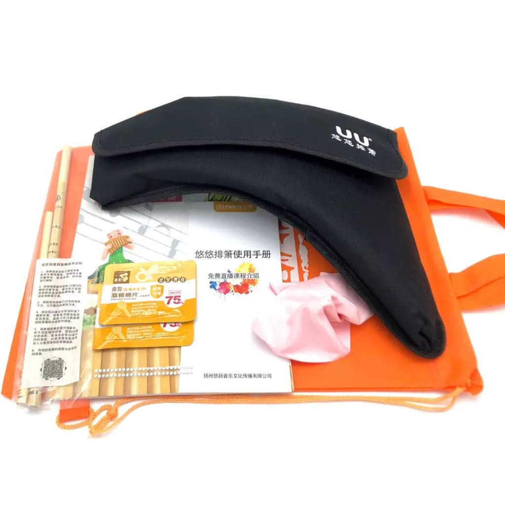 Flûte Pan avec 22 tuyaux pour clé Sol 3 octaves Base amovible 31,8 x 25,4 cm Idéal pour étudiants et adultes débutants