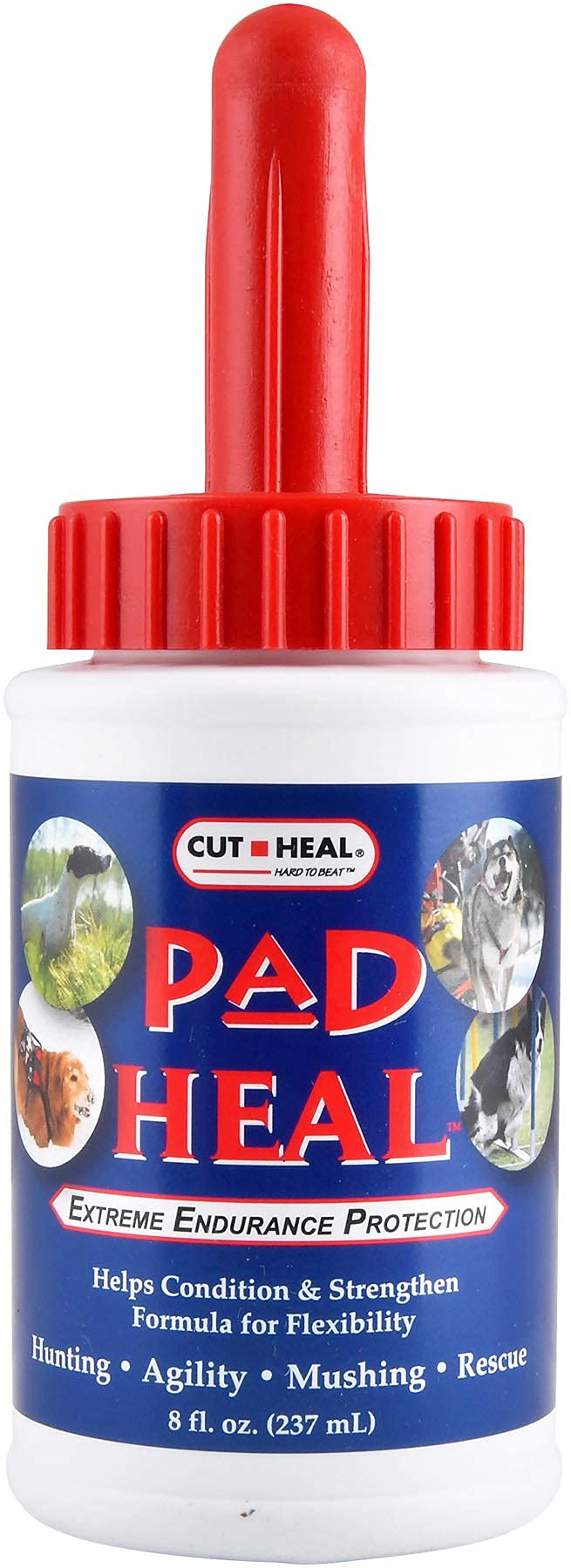 How Can I Help My Dogs Pad Heal