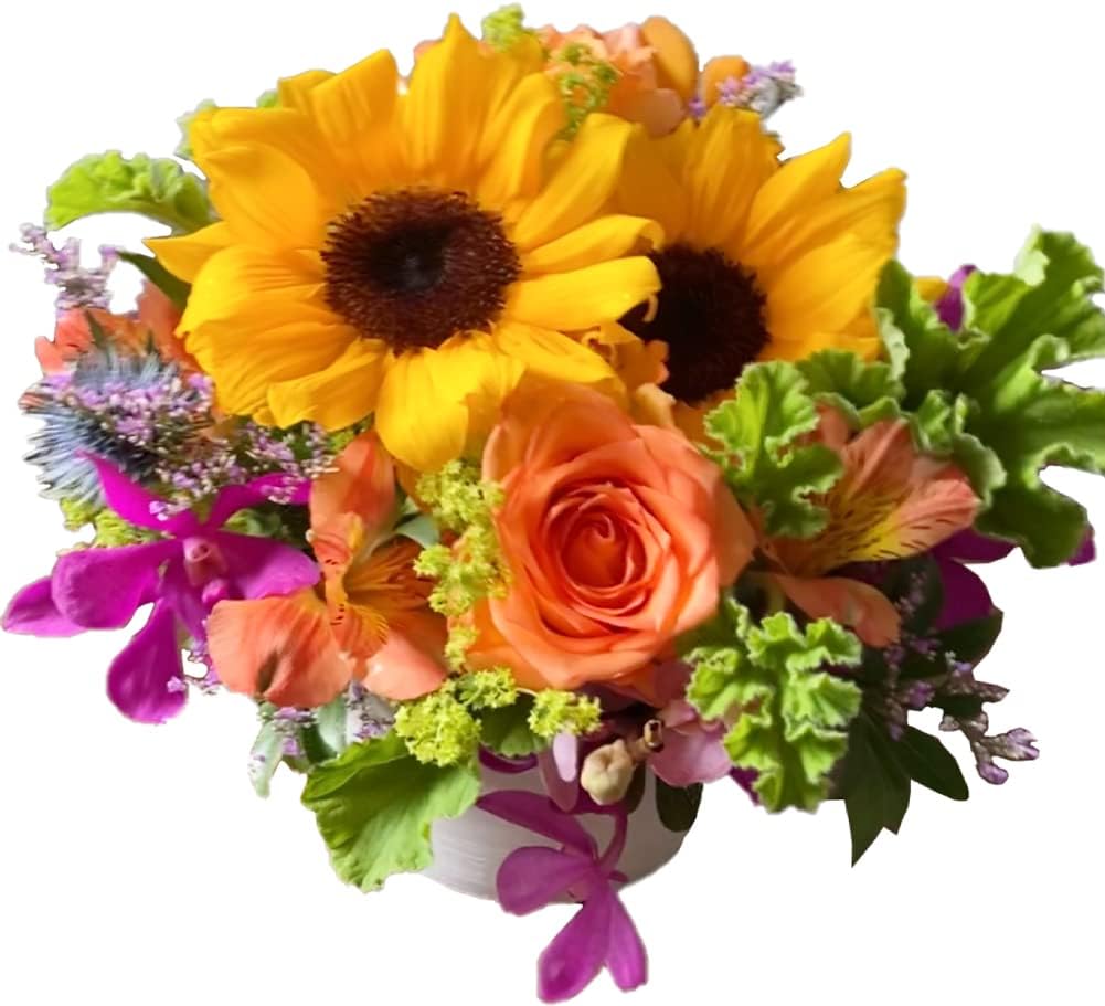 Avail ひまわり 生花 フラワー アレンジメント 父の日 ギフト 夏 誕生日 祝い お中元 超新作