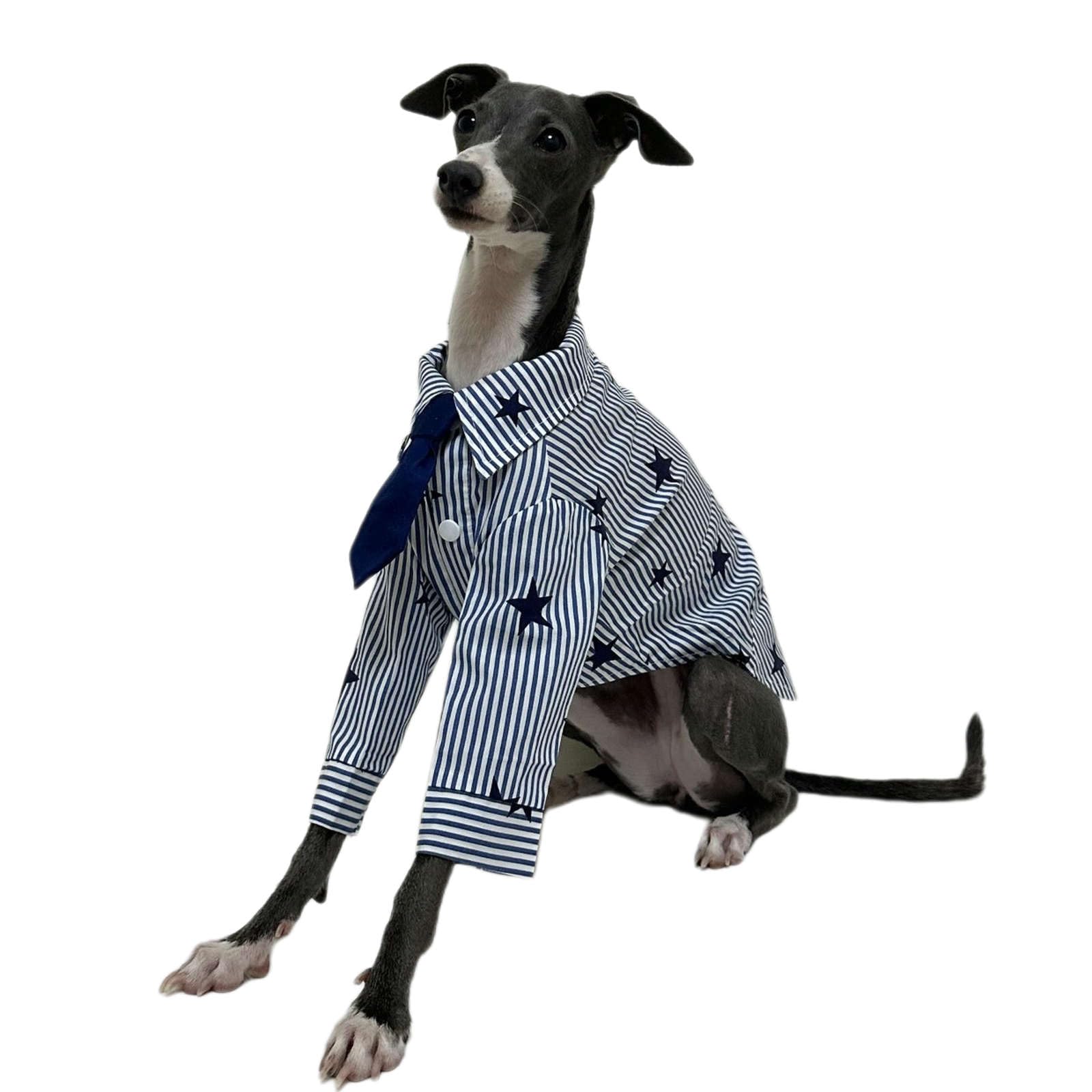 Camisa de Perro a Rayas Ropa de Perro para Perros pequeños Niño Niña Ropa de Galgo Italiano con Corbata Atuendo de Cachorro Suave Camisetas Formales de Perro con Estampado de Estrellas