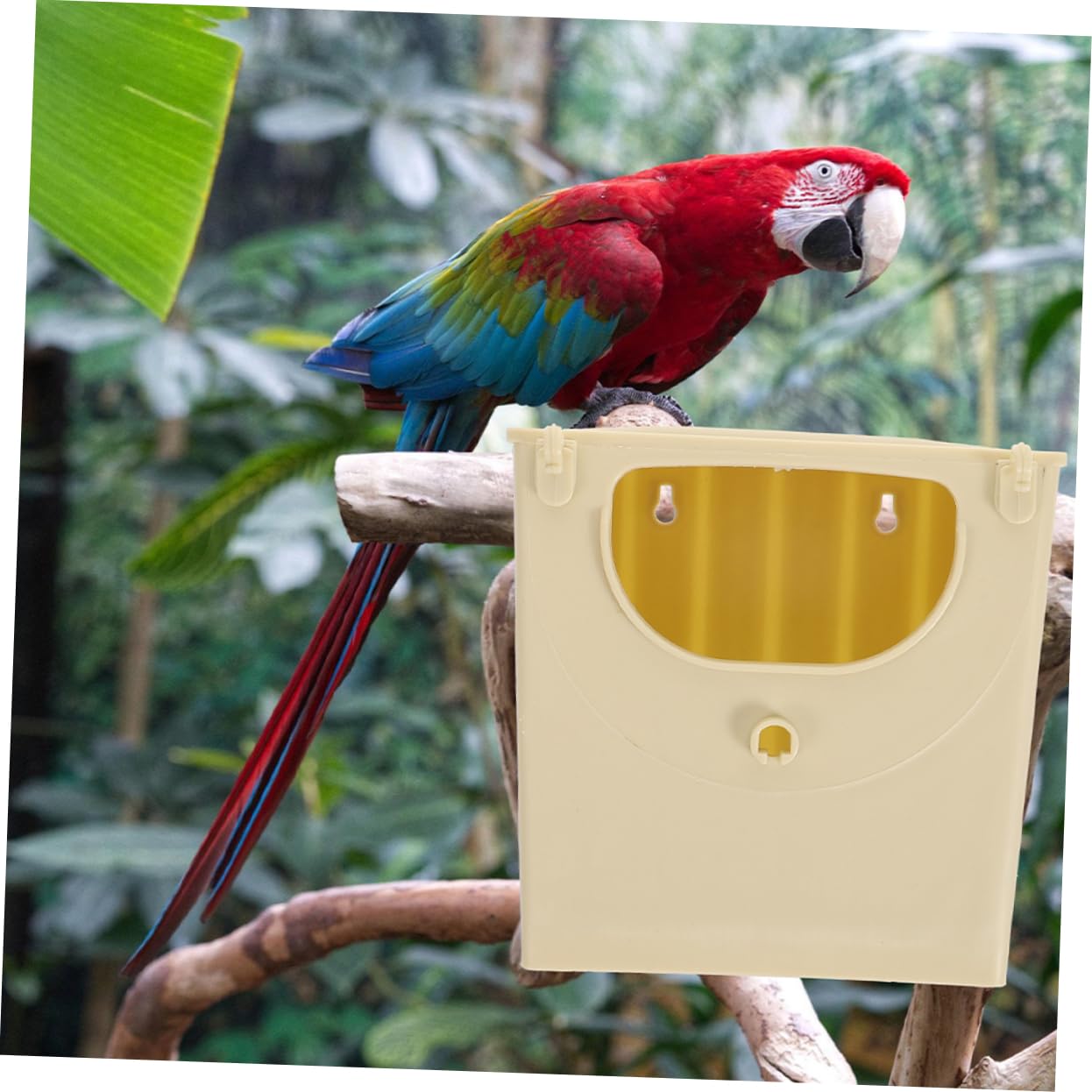 Happyyami Nido De Cría para Pájaros 5 Cajas Diseño Moderno Resistente a Todo Clima