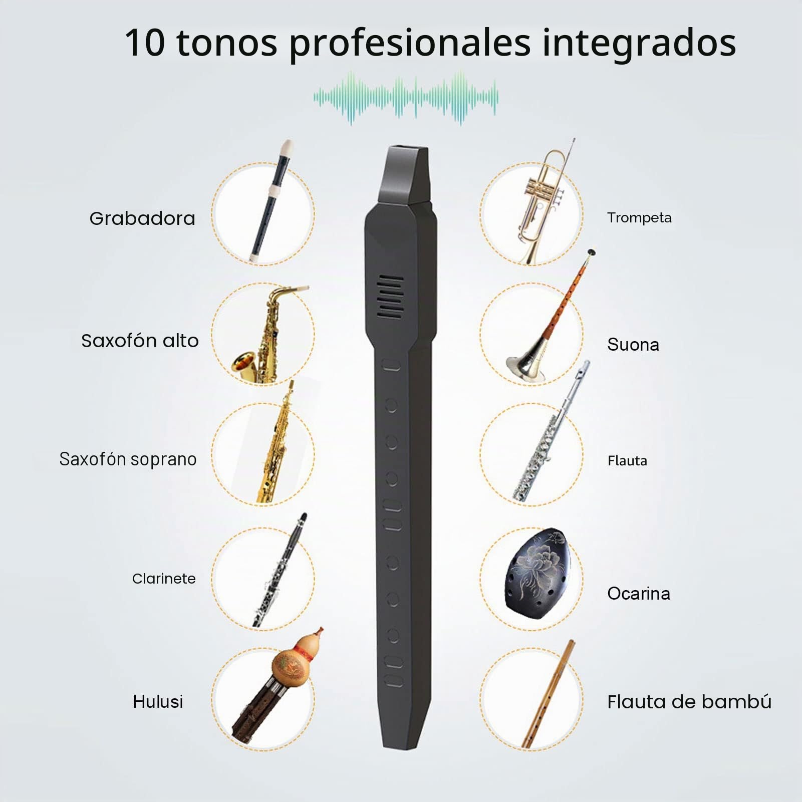 Pilipane Instrumento De Viento Digital, Instrumento De Viento Electrónico, Tonos De Instrumentos Musicales: 10 Tonos, Conectividad MIDI, Mini Instrumento De Viento Electrónico Recargable(negro)