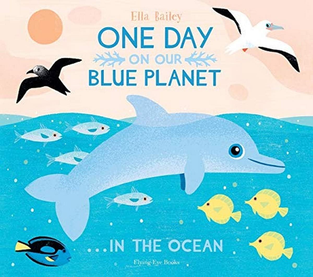 Flying Eye Books One Day On Our Blue Planet ...In the Ocean