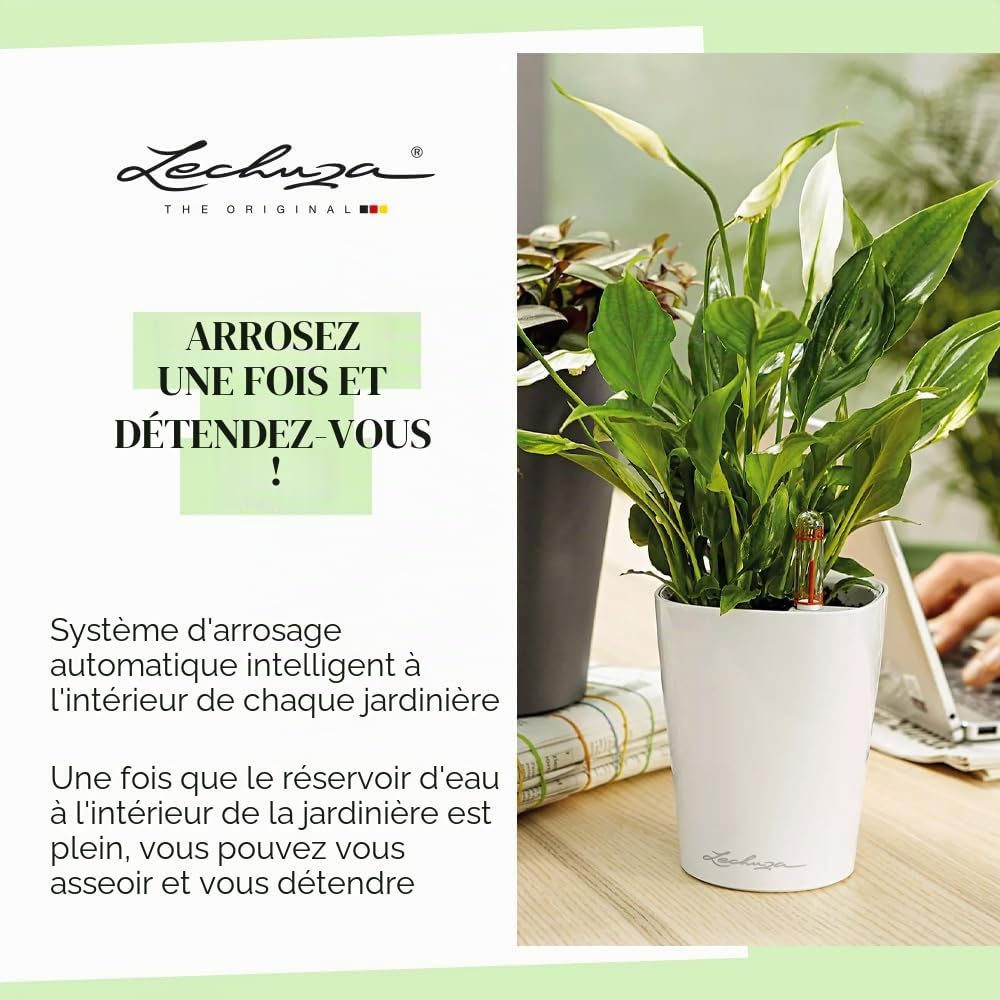 Lechuza – Pot de Fleurs d'Interieur – Deltini – Réserve d'Eau Intégrée – Coloris Taupe – Ø 14 x 18 cm