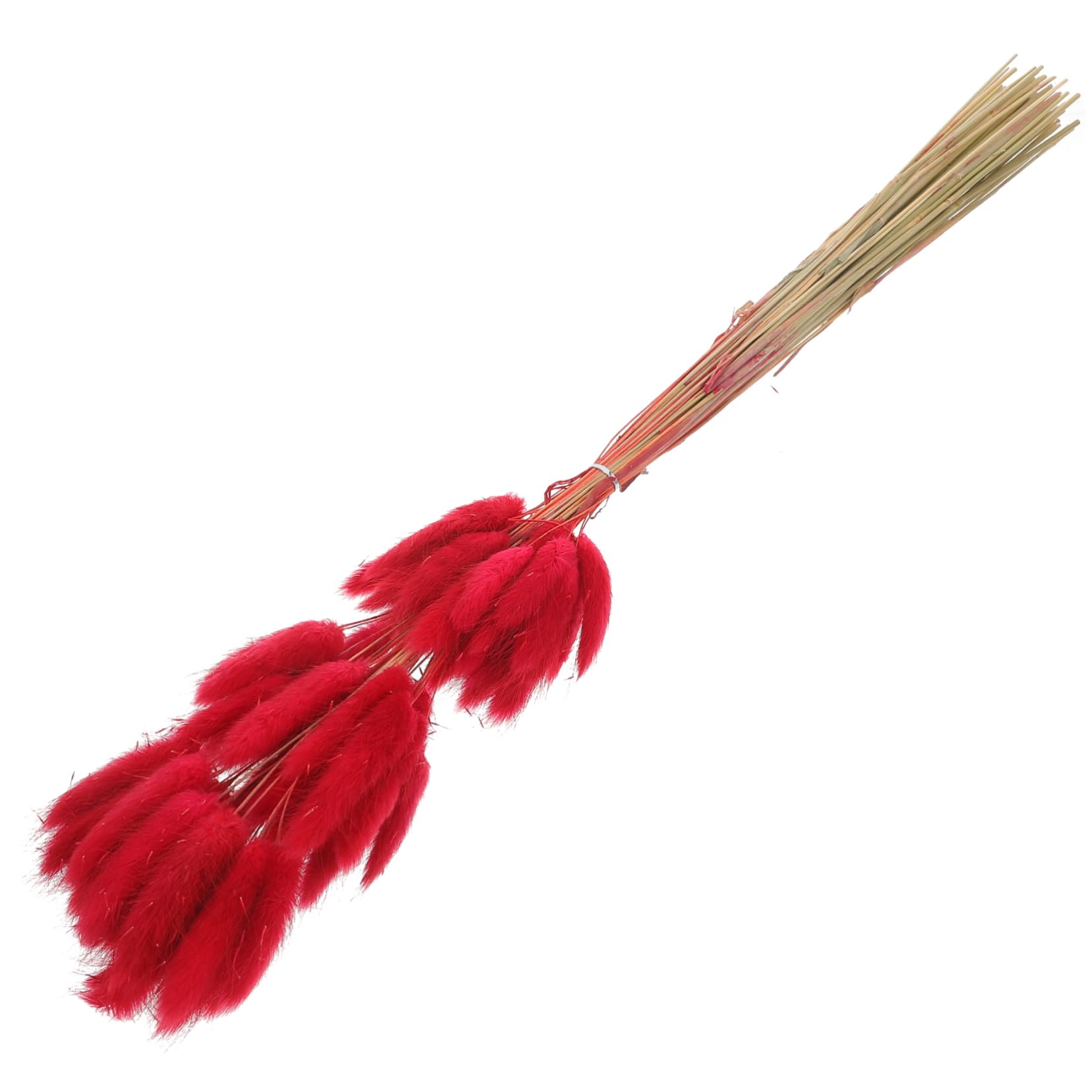 Zerodeko 240piezas De De Conejo Secas para Decoración De Bodas y Arreglo Floral