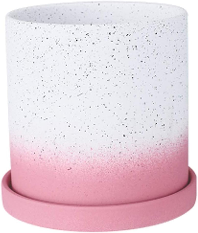 Flower Plant Pots Plant Pots with Drainage Hole and Saucer