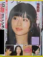 ▲限定１名様▲女優▲石原さとみ▲切り抜きクリアブック2冊▲ 石原さとみ(1冊200円計算)149冊分361ページ切り抜きし