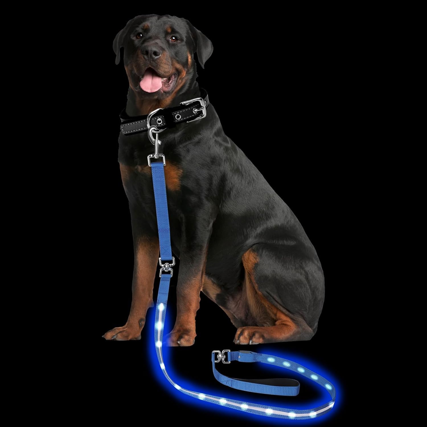 PetIsay Light up Dog Leash for Night Walking – USB C Rechargeable – Waterproof – Dog Leash with Flashlight – LED Leash for Dogs – 6Ft, Blue