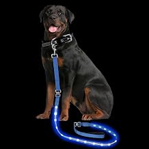 PetIsay Light up Dog Leash for Night Walking - USB C Rechargeable - Waterproof - Dog Leashes with Flashlight - LED Leash for Dogs - 6Ft, Blue
