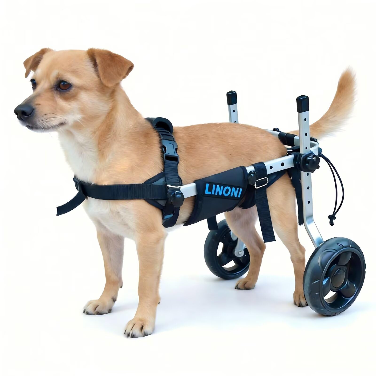 Sedie a rotelle per cani di medie e piccole dimensioni, Gamba posteriore regolabile carrozzo per animali domestici, Arto posteriore dell'animale domestico riabilitazione (XS)