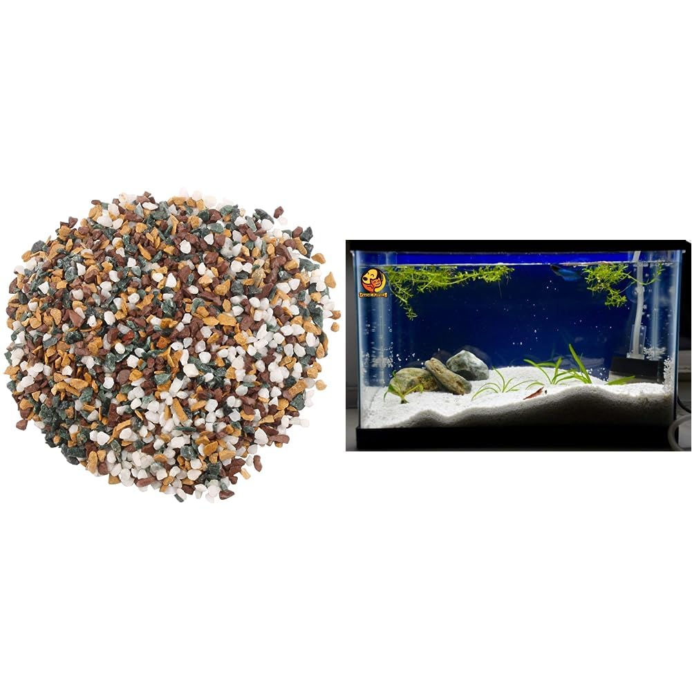 See full amazon price history chart for Foodie Puppies Natural Gravel (Mix Marble, 5Kg) (7mm - 13mm) & Outdoor Pebble & Natural Sugar Size Sand Gravel (White Sand - 2.5Kg) Foodie Puppies Natural Gravel (Mix Marble, 5Kg) (7mm - 13mm) & Outdoor Pebble & Natural Sugar Size Sand Gravel (White Sand - 2.5Kg) (B0CDDMN338) Amazon Price History, Amazon Price Tracker