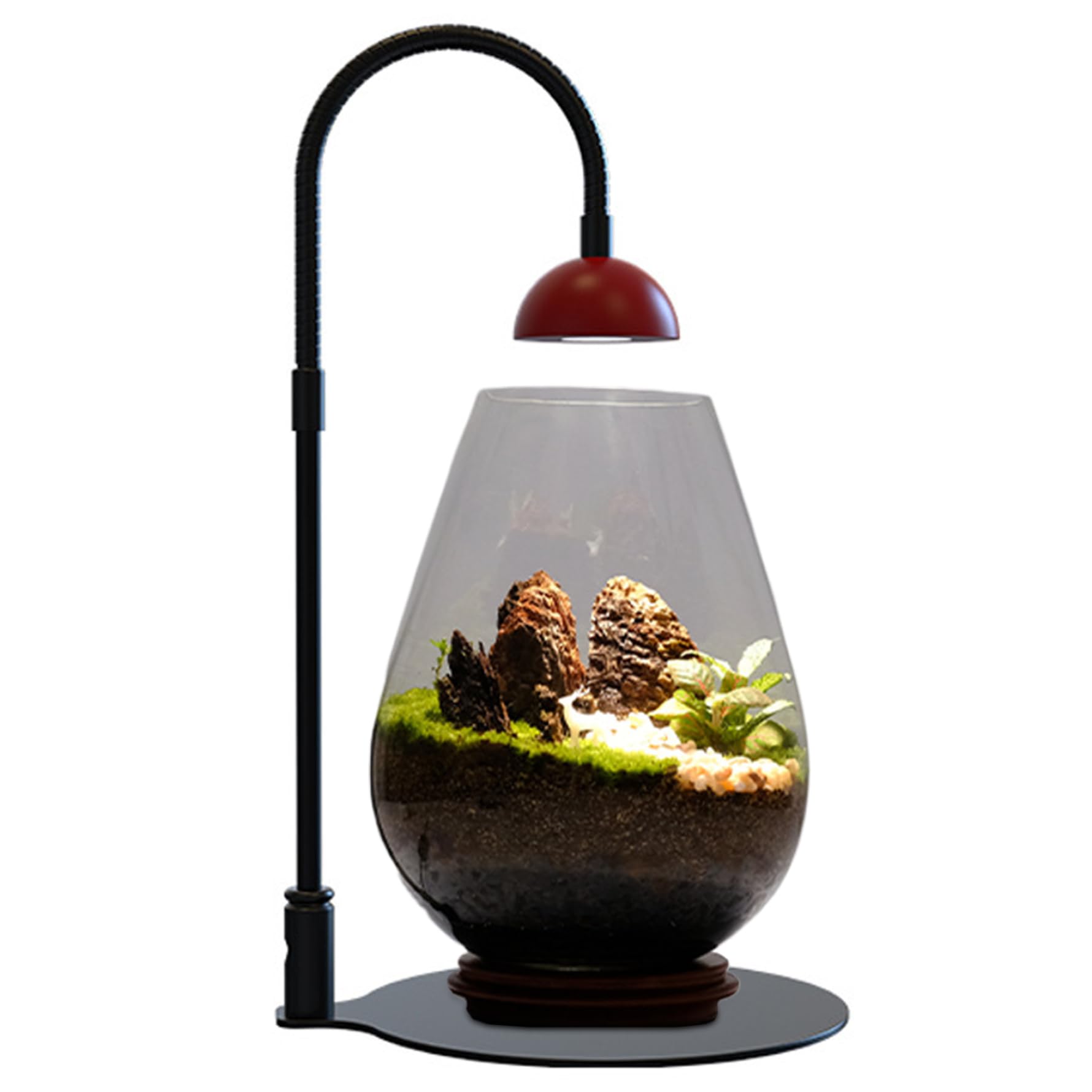 Lampe LED pour petites plantes à spectre flexible et hauteur réglable chez soi