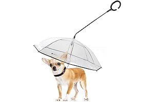 LESYPET Umbrella Leash: The Perfect Rainy Day Essential for Small Dogs
