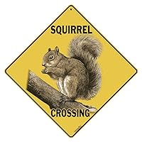 Algopix Similar Product 1 - CROSSWALKS Squirrel Crossing 12 X 12