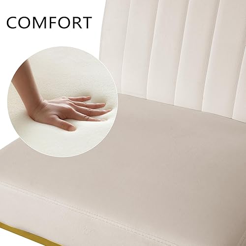 Miniatura 4 de SIMTONAL Juego de 2 sillas de comedor modernas, de terciopelo, tapizadas, de mediados de siglo, sin brazos, con base dorada, color beige y blanco, 2