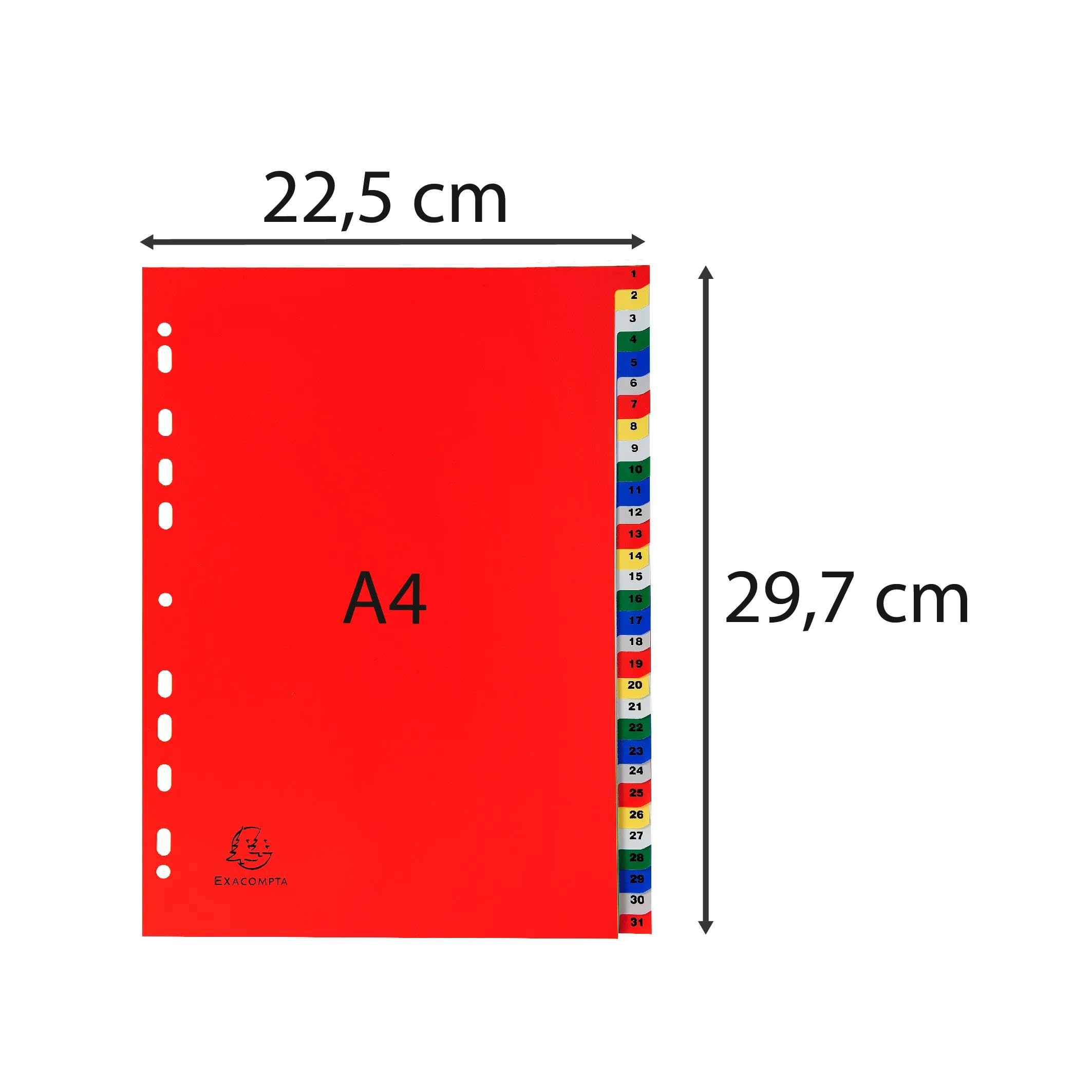 Exacompta - Art.-Nr. 93E – Karton mit 20 Registern aus Polypropylen mit 31 digital bedruckten Registern von 1 bis 31 in Farbe – Indexierseite – Format A4 – 22,5 x 29,7 cm