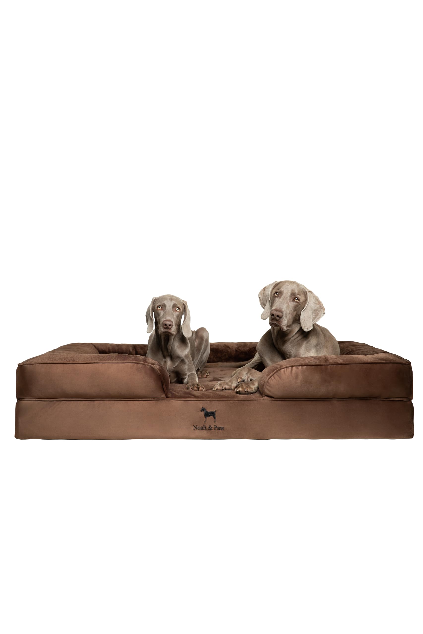 NOAH & PAW Giant Dog Bed XXL, 55x45x11 Inch, Orthopedic Dog Beds, Eggshell Memory Foam Infused with Cooling Gel, Inner Cover, Waterproof, Machine Washable (Velvet Sofa Collection)