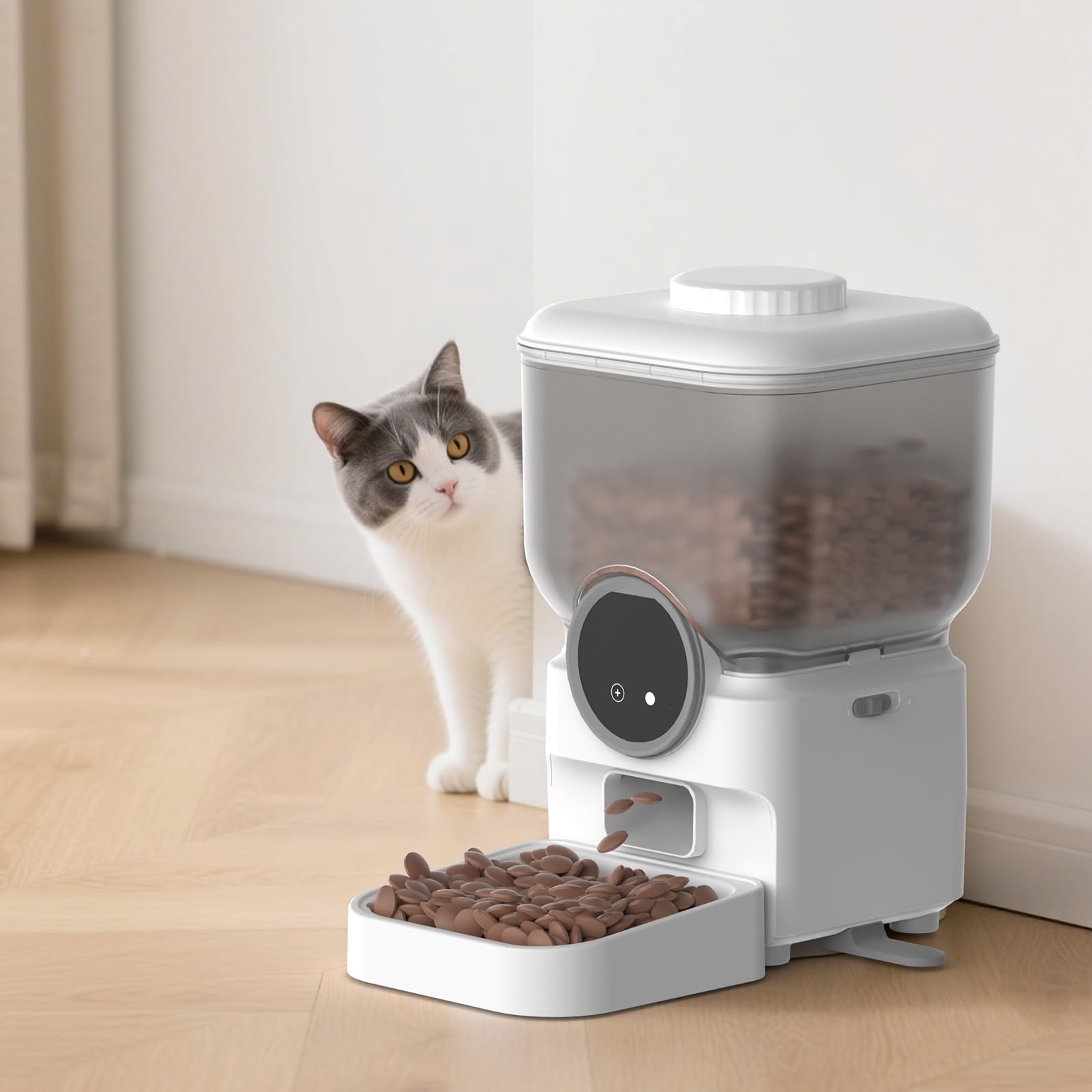 Asixxsix Distributore Automatico Di Cibo per Gatti Wifi, Distributore Di Cibo per Cani Con Timer Intelligente Wireless-Fidelity Da 6,5 Litri Controllo Tramite App per Cani Di Piccola