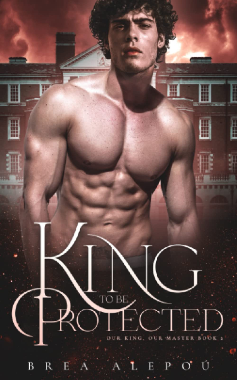 A King to be Protected: Gay Harem: 2 (Our king, Our Master)