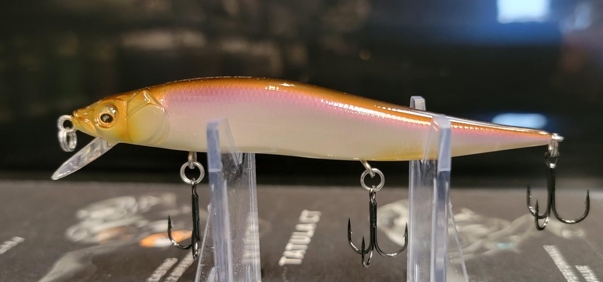 ONETEN Jr Japan Hakusei Wakasagi