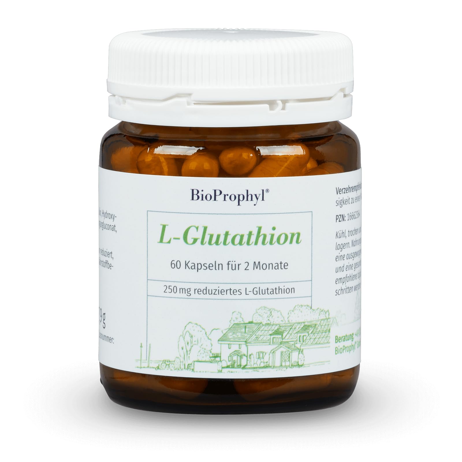 L-Glutathion G-SH - 250mg reines reduziertes L-Glutathion mit Mangan - 60 vegetarische Kapseln
