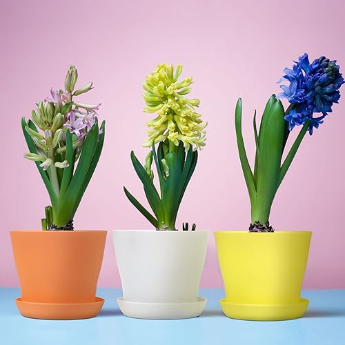 Miniatura 7 de Paquete de 20 macetas de plástico de 4 pulgadas con bandejas, macetas de vivero, macetas de semillero, macetas de semillas para plántulas,