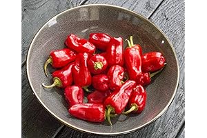Aleppo pepper seeds: Breathe Fire into Your Dishes