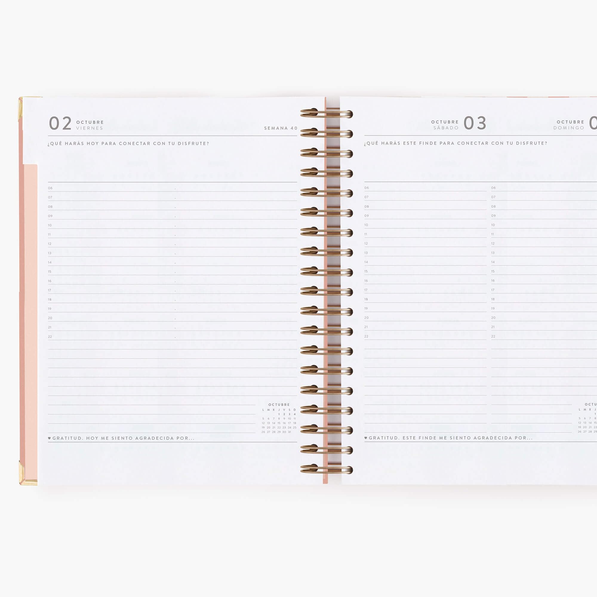 Charuca Akademischer Terminkalender 2026-2027 TAGESANSICHT – Hardcover mit Golddetails, Großes Format – Inklusive schützender Stofftasche und Lesezeichen (Rayas Pink)