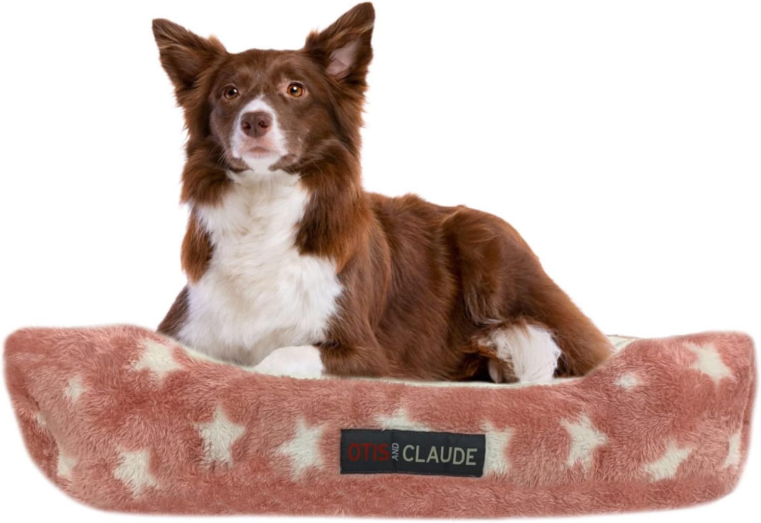 Otis & Claude Hi-Tech Cashmere Dog Bed, Medium 62x53 – Tear Proof Washable Cover, Orthopedic Medium Sofa Bed, Indoor Pet Bed, Chew Resistant Heavy Duty Dog Couch
