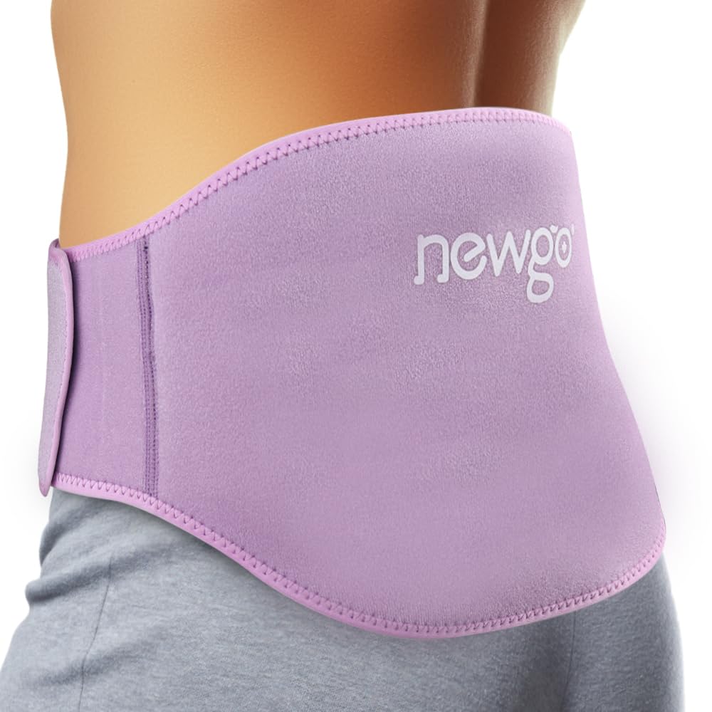 Buy NEWGO Ice Pack for Back Pain , 2 Pack Ice Pack Lower Back Ice Pack