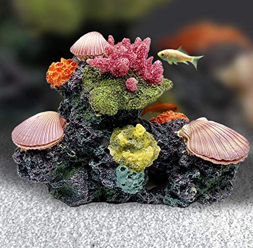 シャコガイ 貝殻 オウギガイ 置物 玄関 アクアリウム 水槽 庭 鉢 観葉植物 シャコガイ 貝殻 オウギガイ 置物 玄関 アクアリウム 水槽 庭 鉢